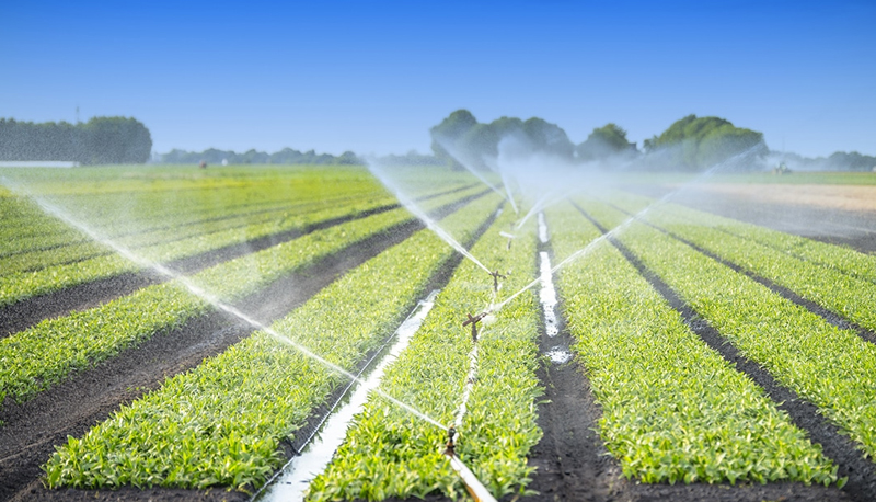 Agriculture & Irrigation